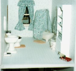 dollhouse bathroom picture before